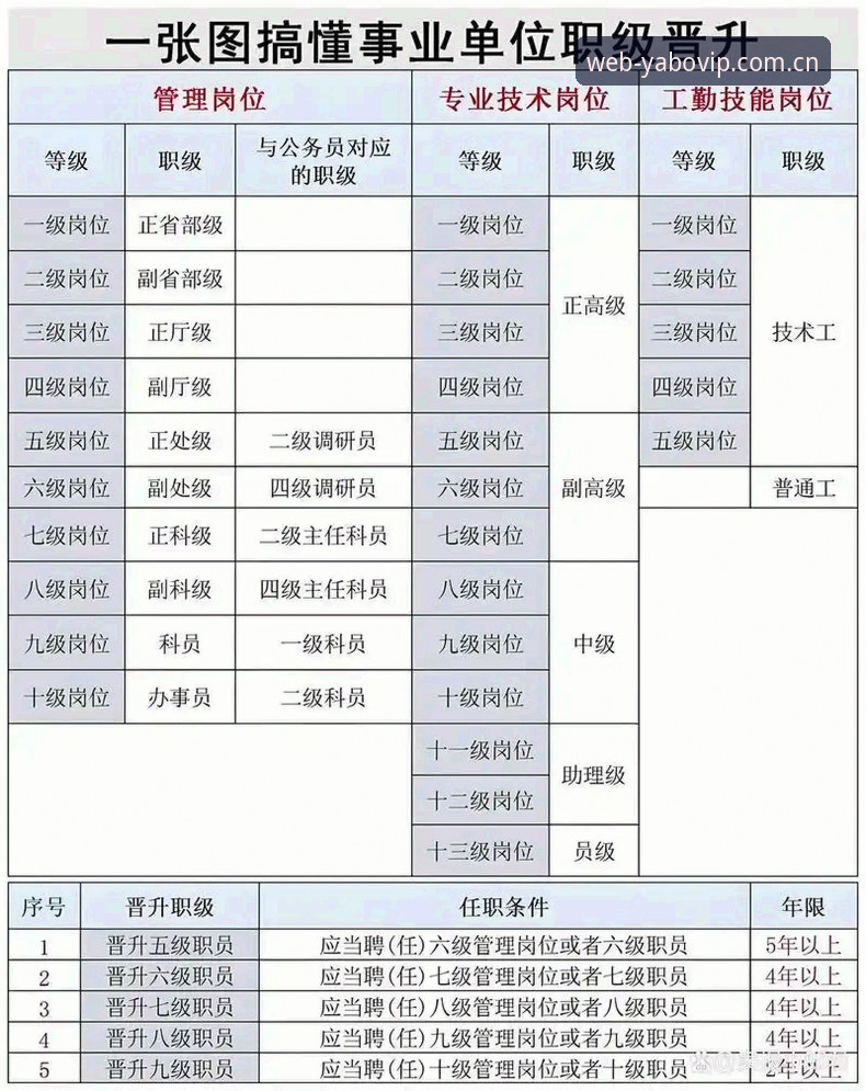 yabo体育数据 2026热门赛事数据站整合的3大实用功能与4个操作技巧